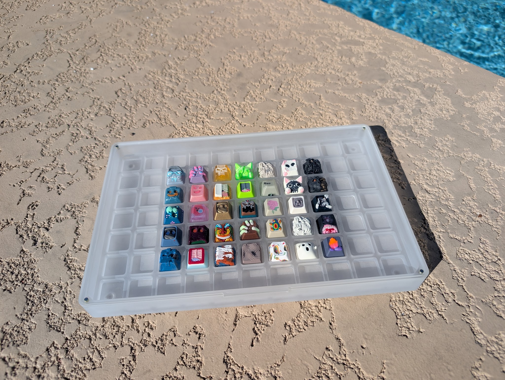 7x11 Tray